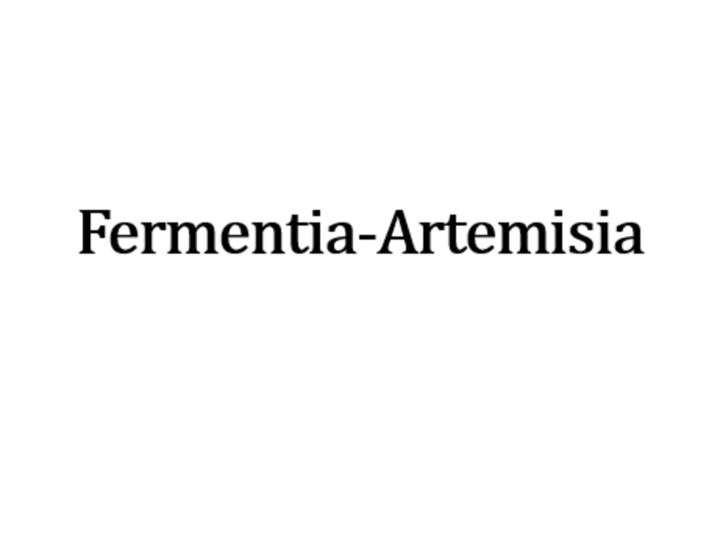 發酵工藝–艾蒿萃取-1